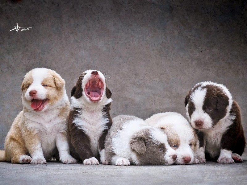 nginx配置跨域请求